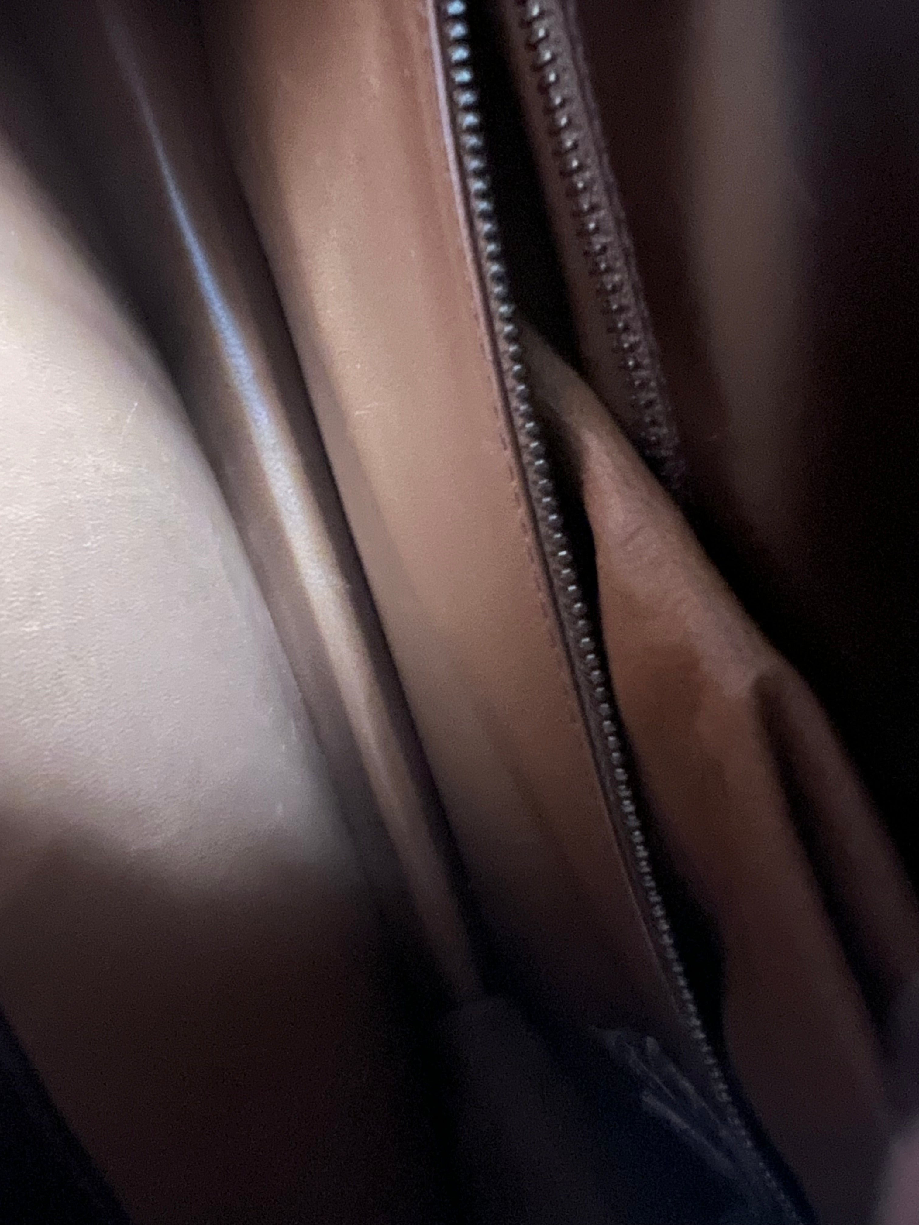 Authentic Bottega Old 2010s Handbag Leather exotic