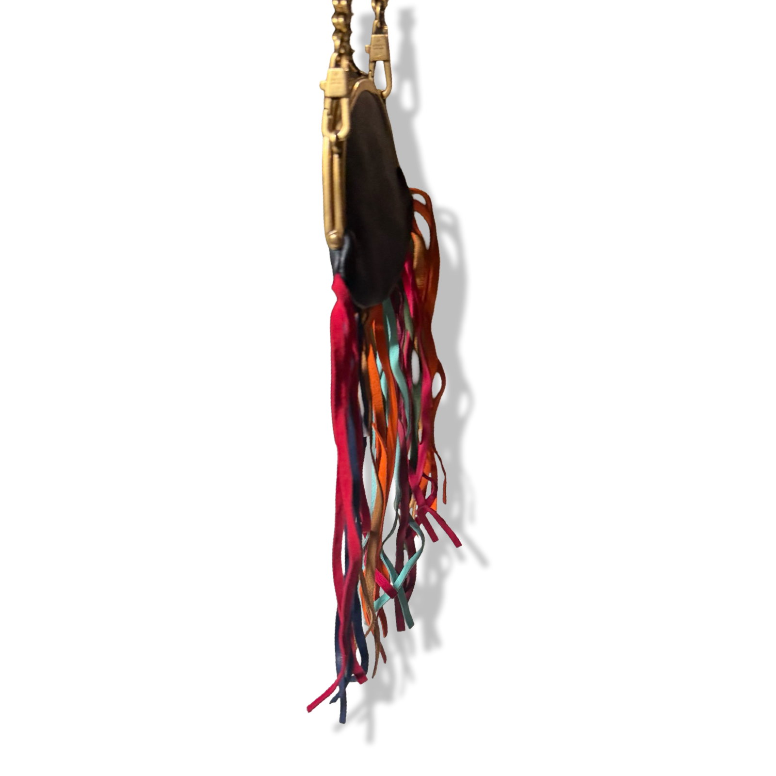 Gucci Aimalier Fringe Frame Bag