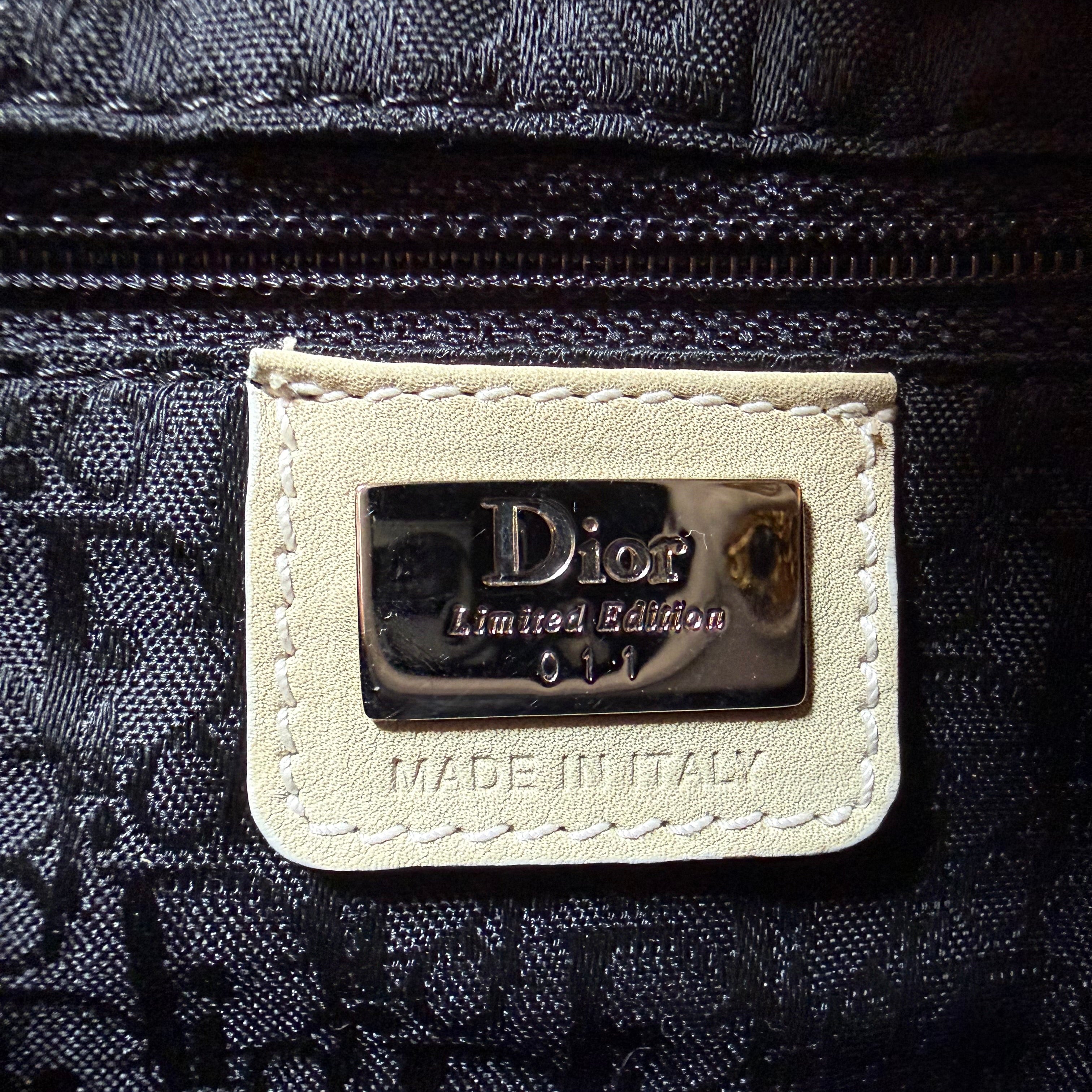 Dior Vintage Rare Collector's Edition Saddle