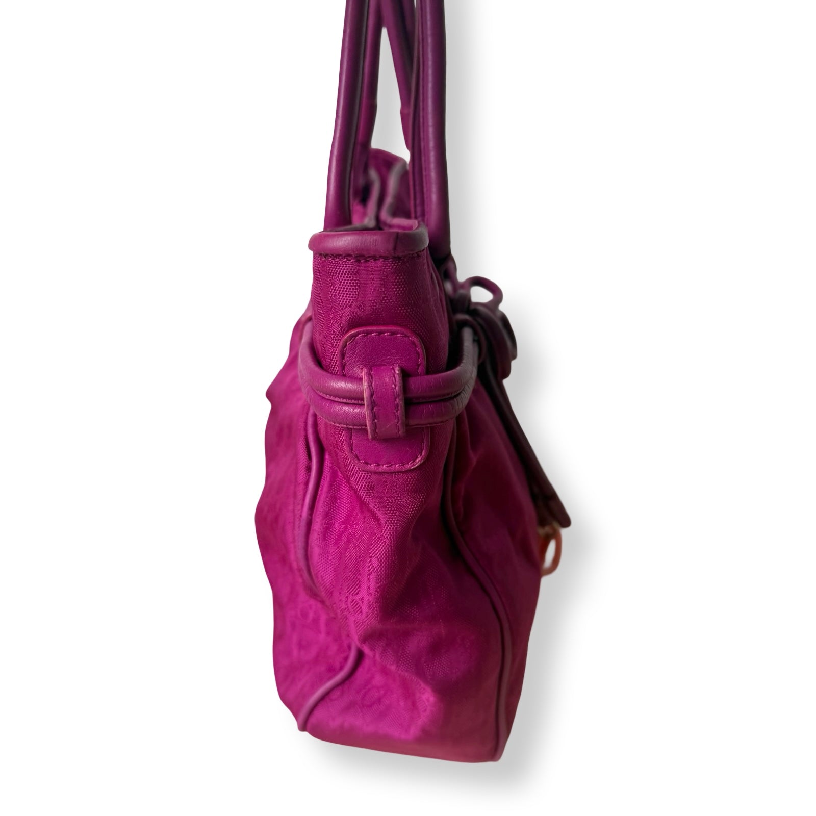 Dior Lovely Trotter Tote
