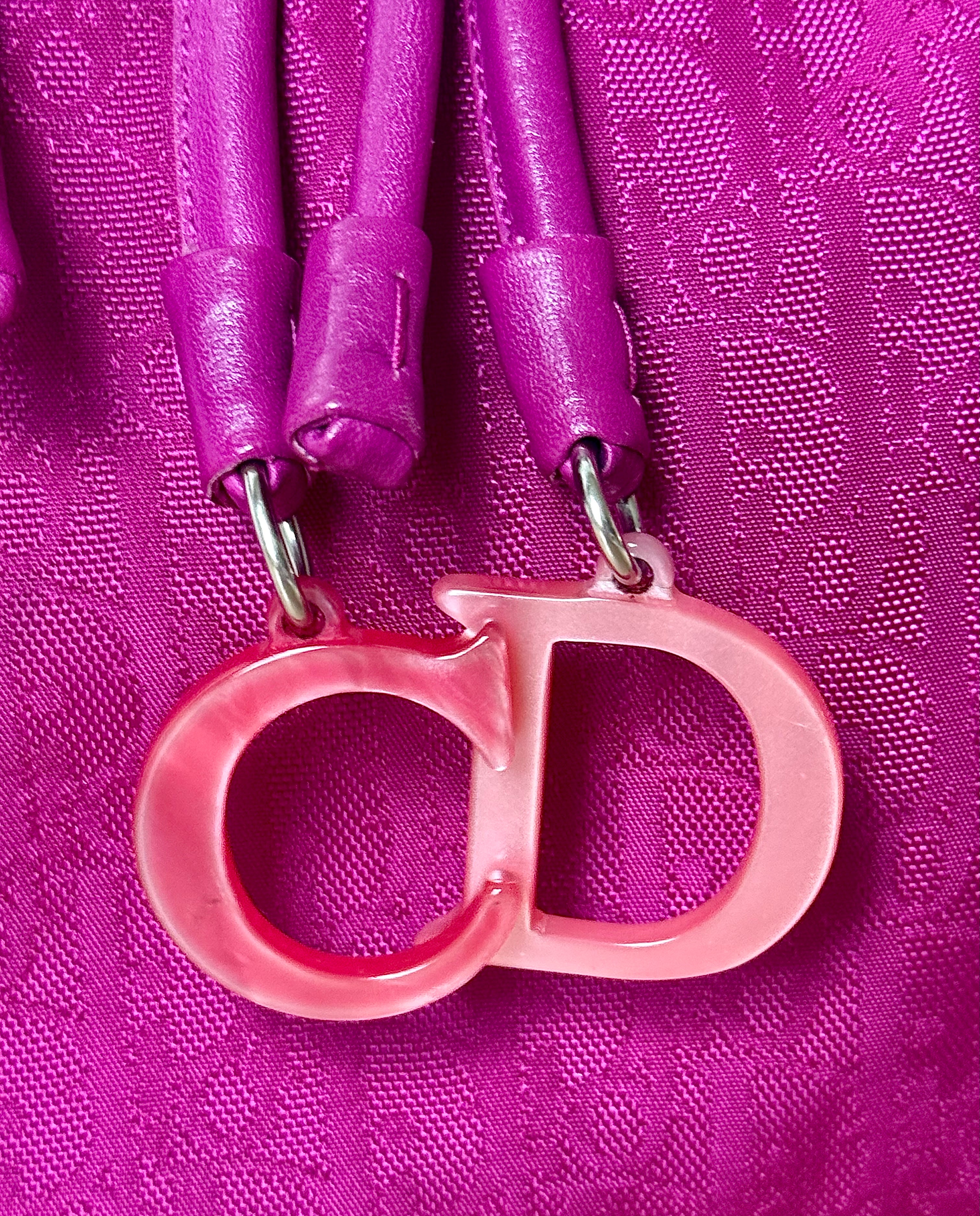 Dior Lovely Trotter Tote