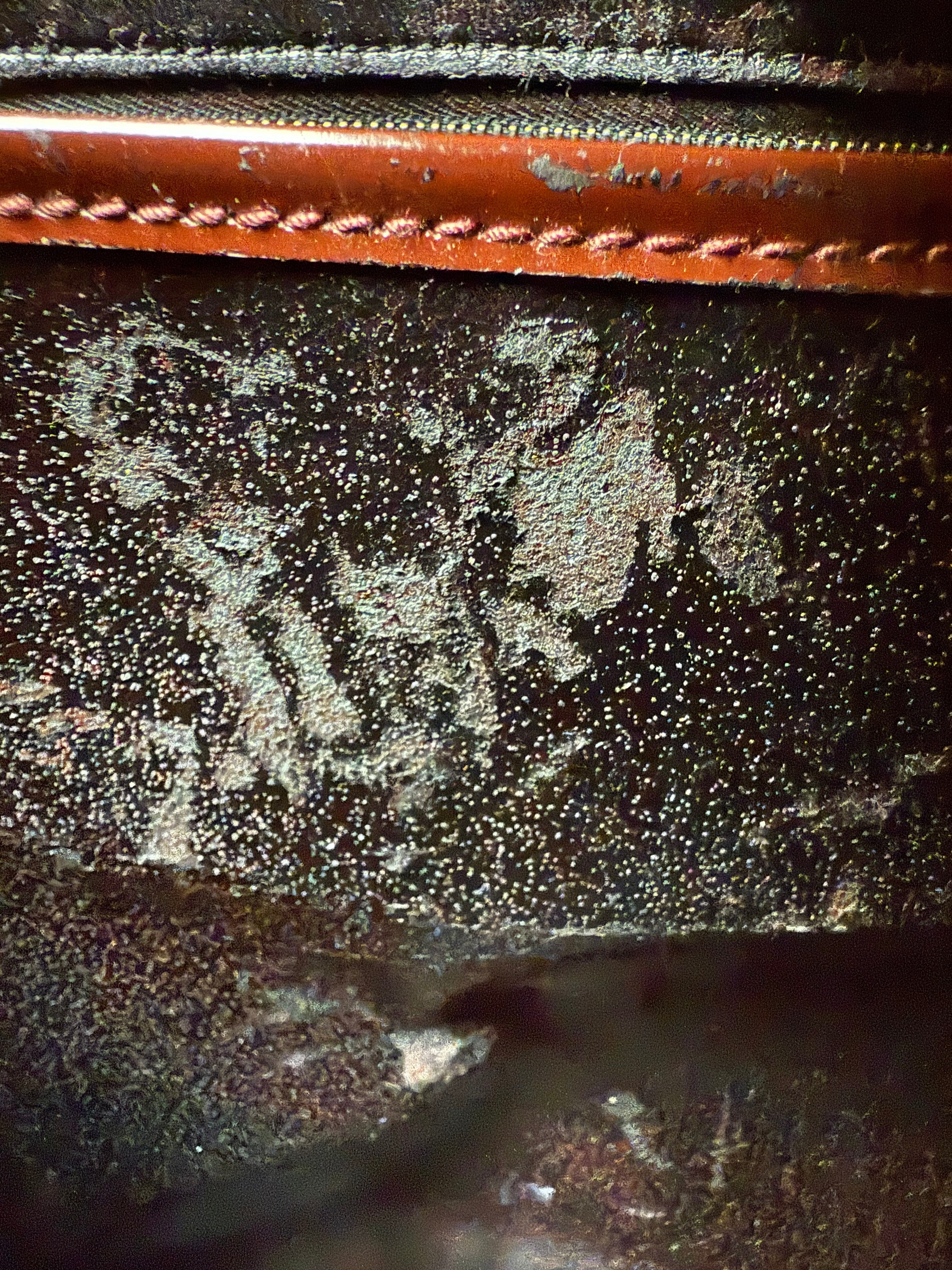 Gucci vintage tote