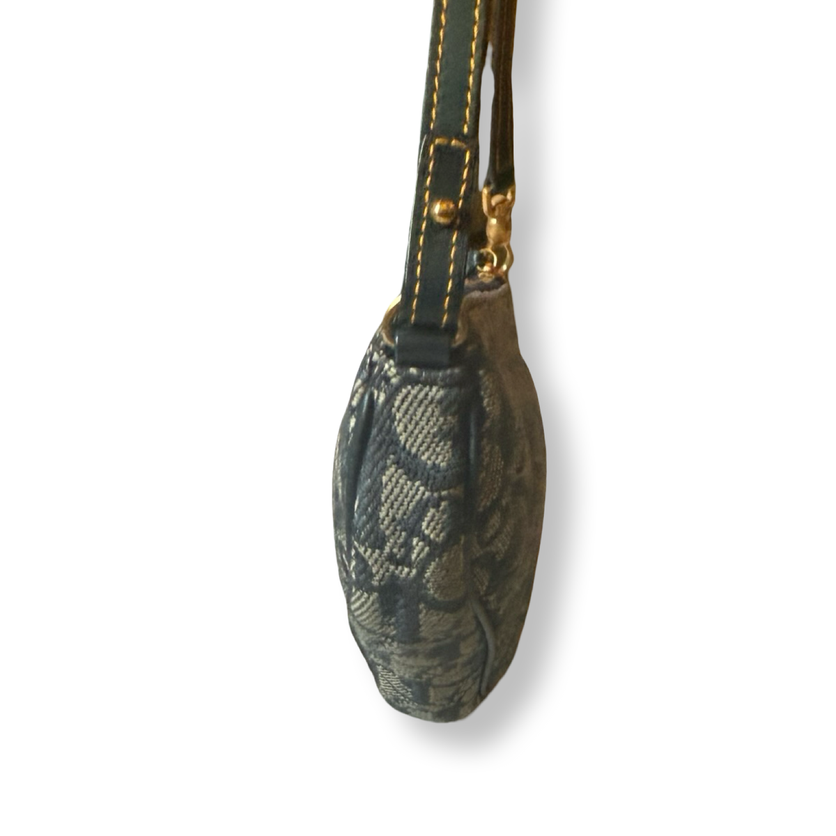 Dior Vintage Trotter Saddle Pochette