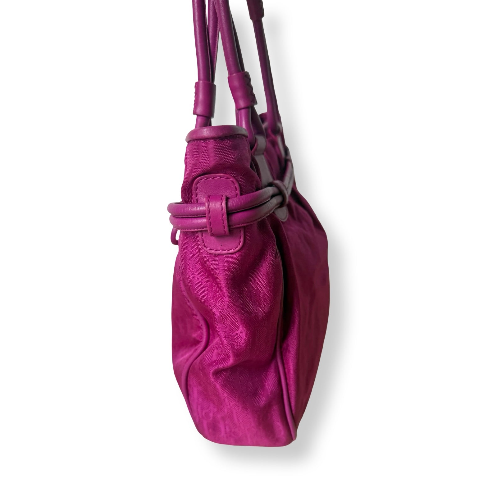 Dior Lovely Trotter Tote