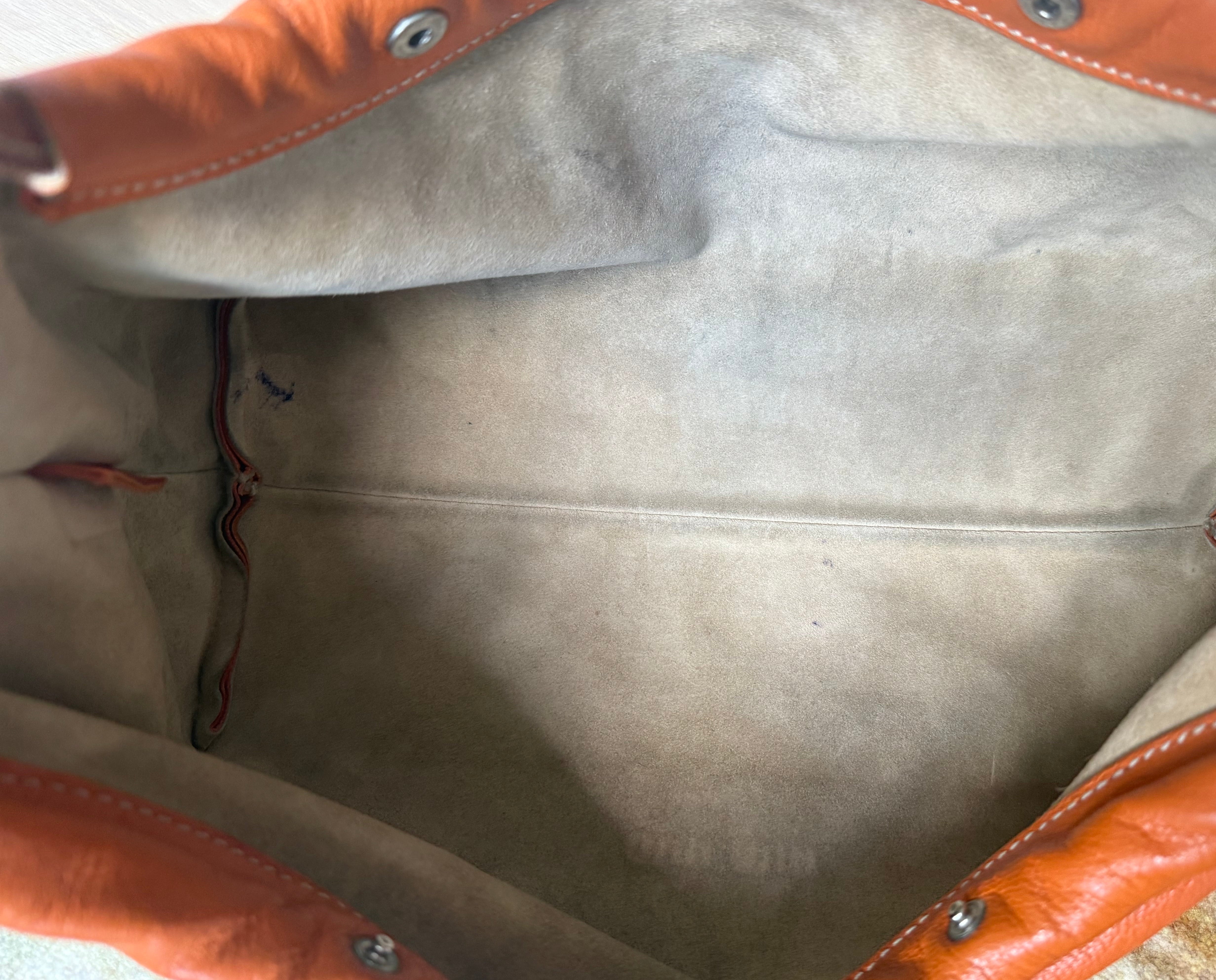 Miu Miu Orange Dumpling Bag