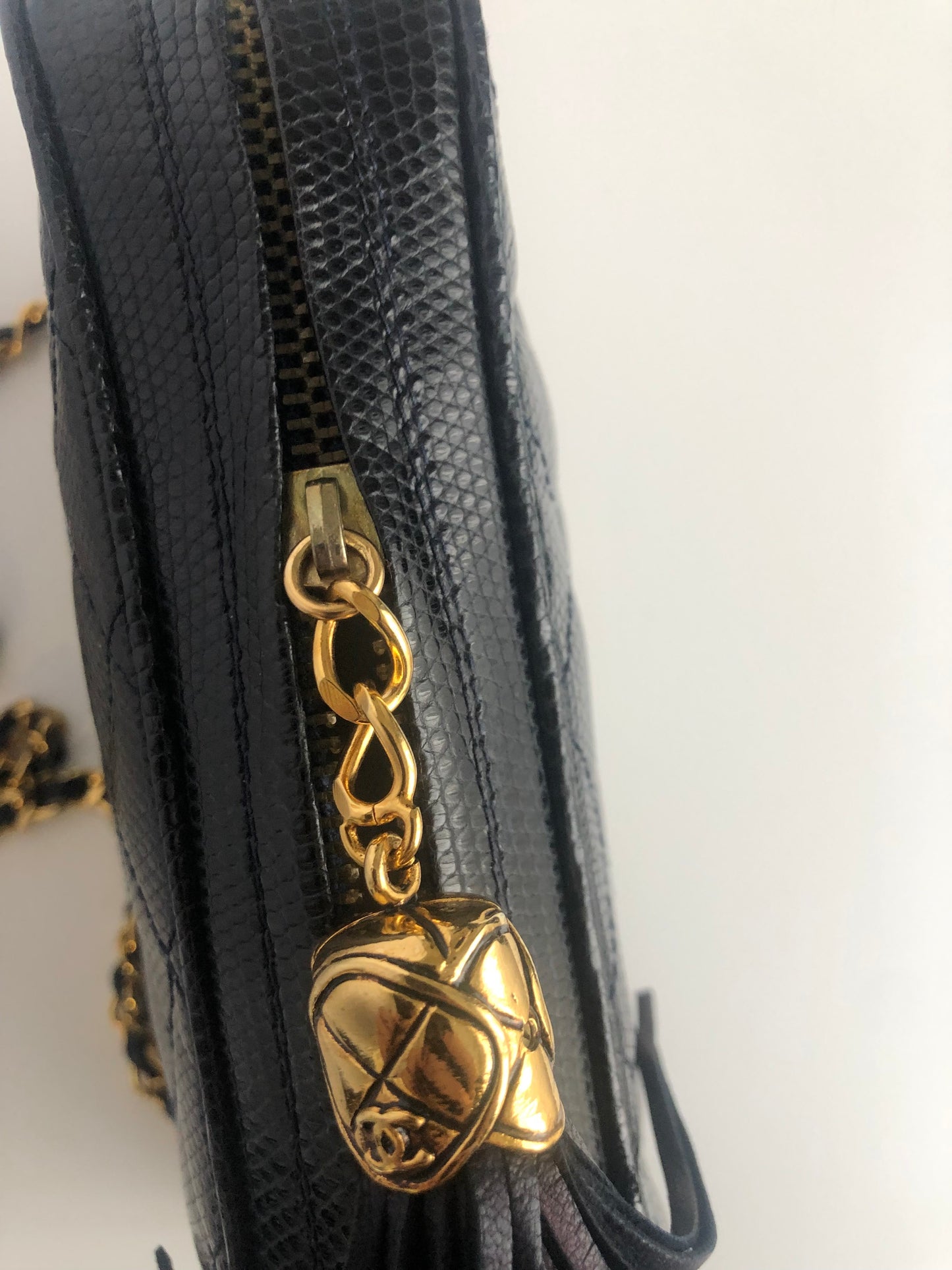 Chanel Exotic Camera Bag Vintage