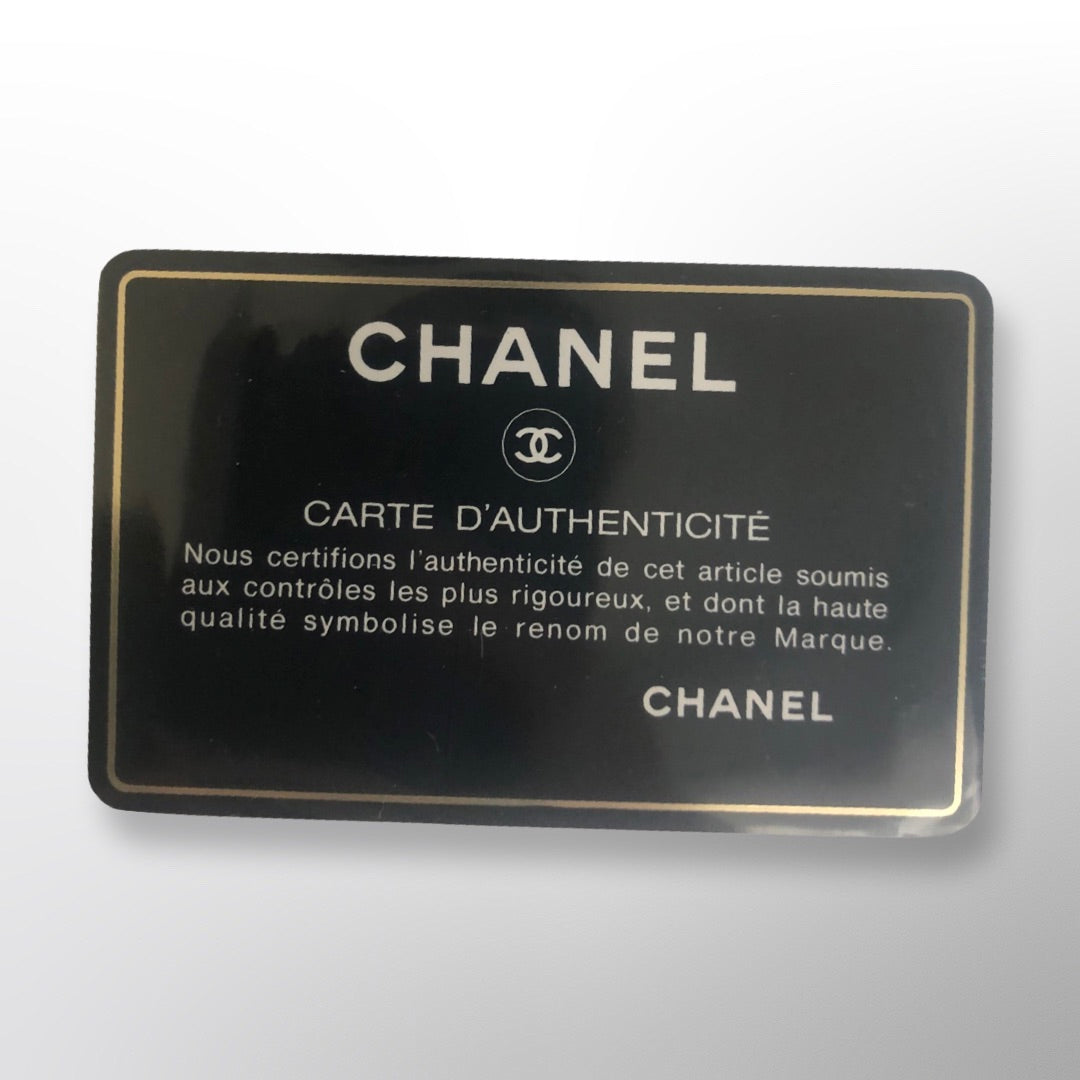 Chanel Exotic Camera Bag Vintage
